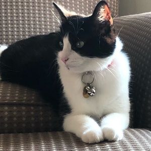 Meet your Posher, Mallory